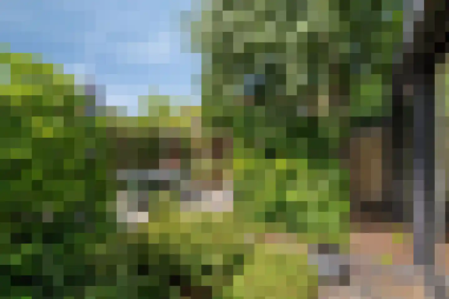 Ericastraat 6 Eindhoven thumbnail 47