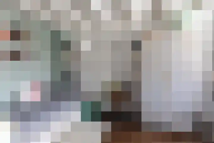Ericastraat 6 Hilversum thumbnail 14