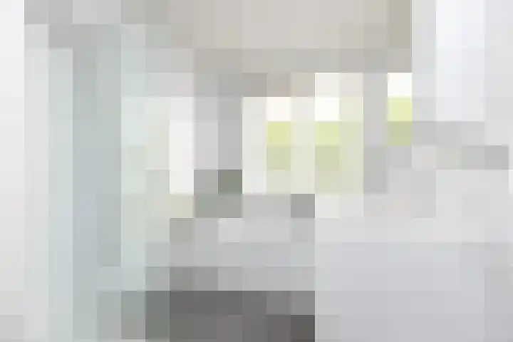 Ericastraat 6 Hilversum thumbnail 19