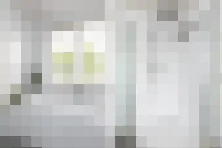Ericastraat 6 Hilversum thumbnail 20