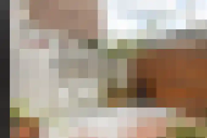Ericastraat 6 Hilversum thumbnail 26