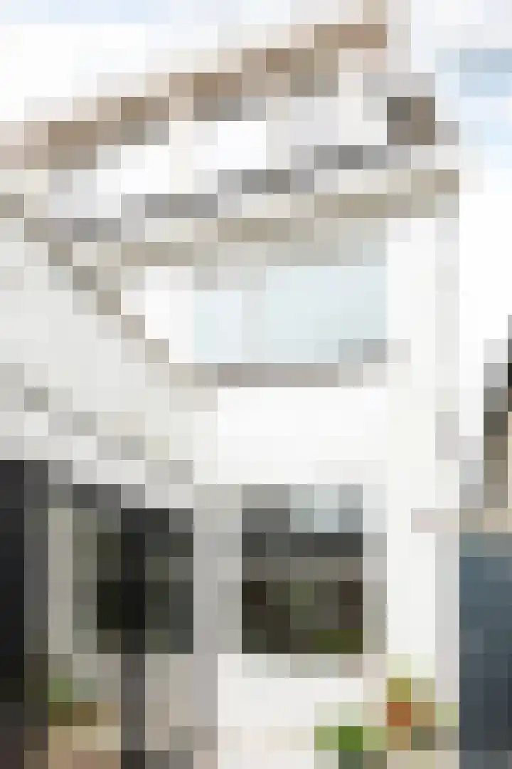 Ericastraat 6 Hilversum thumbnail 27
