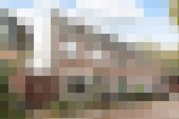 Ericastraat 6 Hilversum thumbnail 28