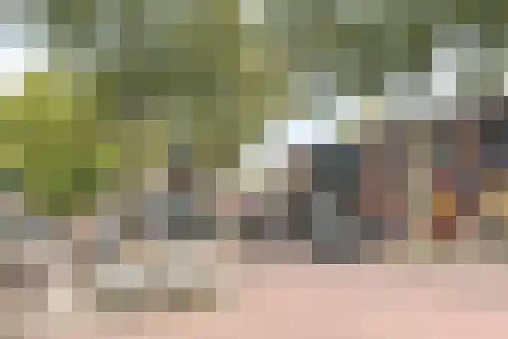 Ericastraat 6 Hilversum thumbnail 29