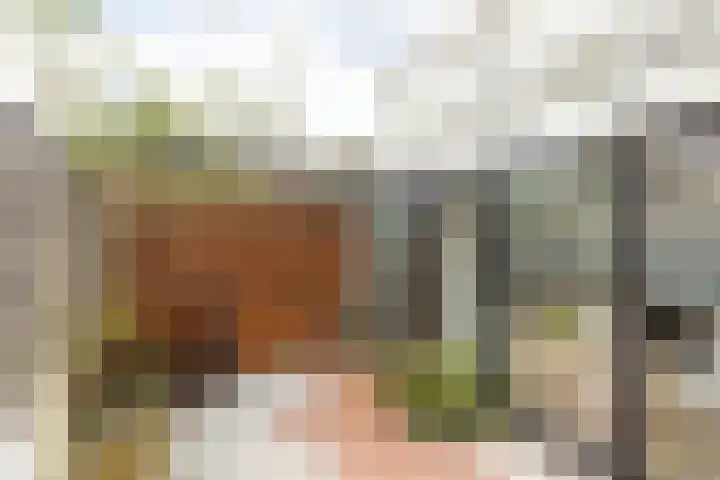 Ericastraat 6 Hilversum thumbnail 9