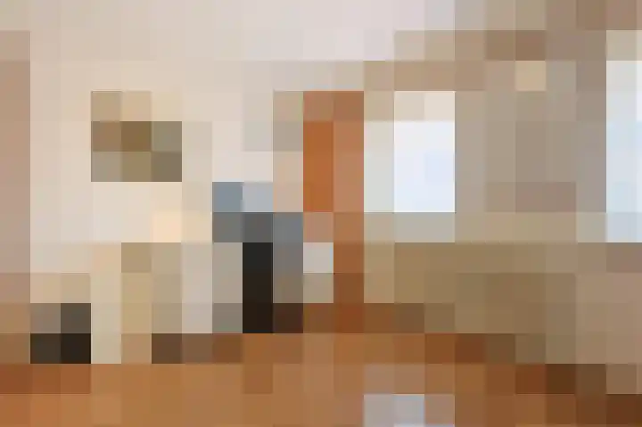 Ericastraat 7 Eindhoven thumbnail 30