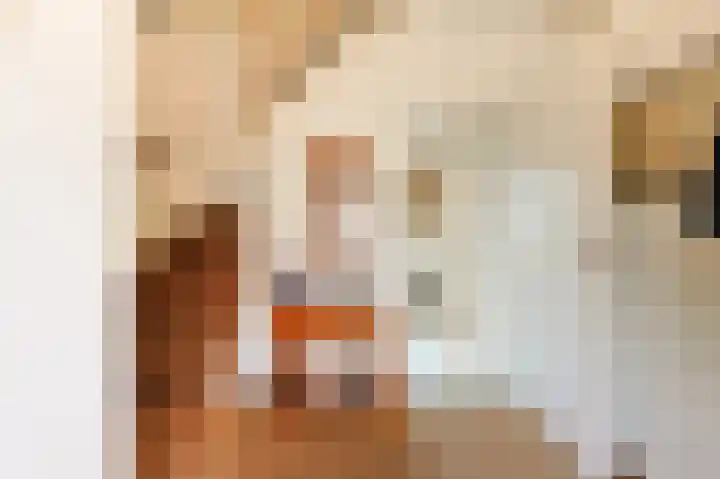 Ericastraat 7 Eindhoven thumbnail 5