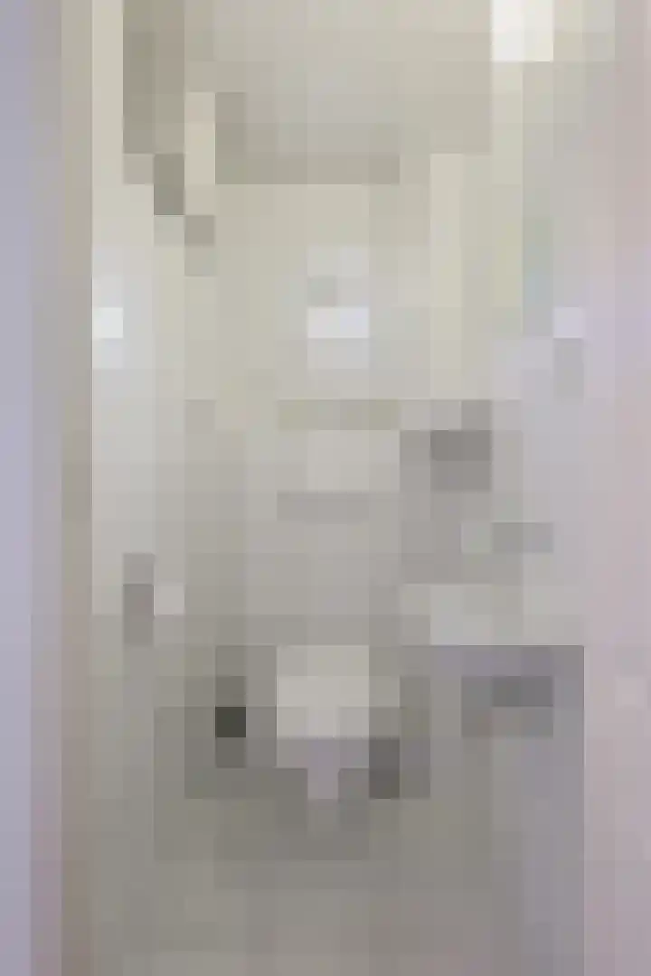 Ericastraat 7 Eindhoven thumbnail 7