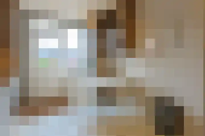 Ericastraat 7 Eindhoven thumbnail 9