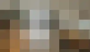 Ericastraat 73 Eindhoven thumbnail 5