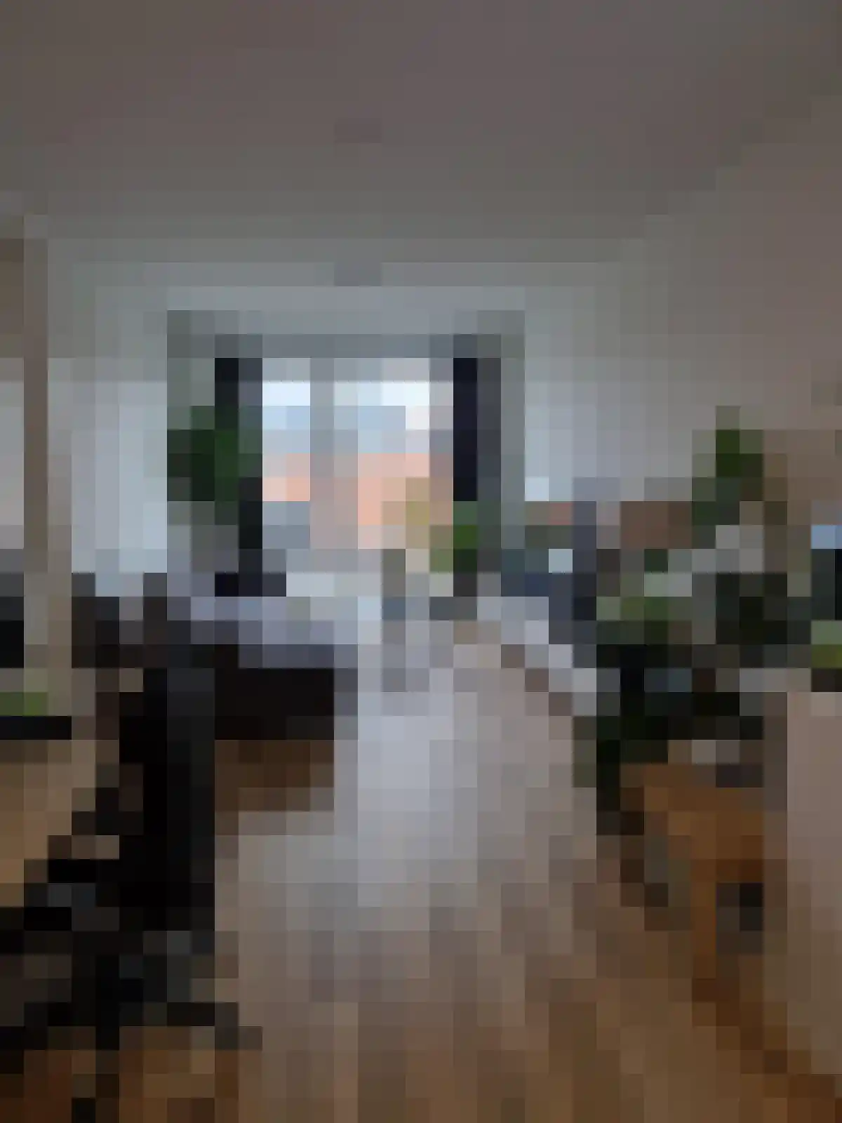Ericastraat 79 Eindhoven thumbnail 5