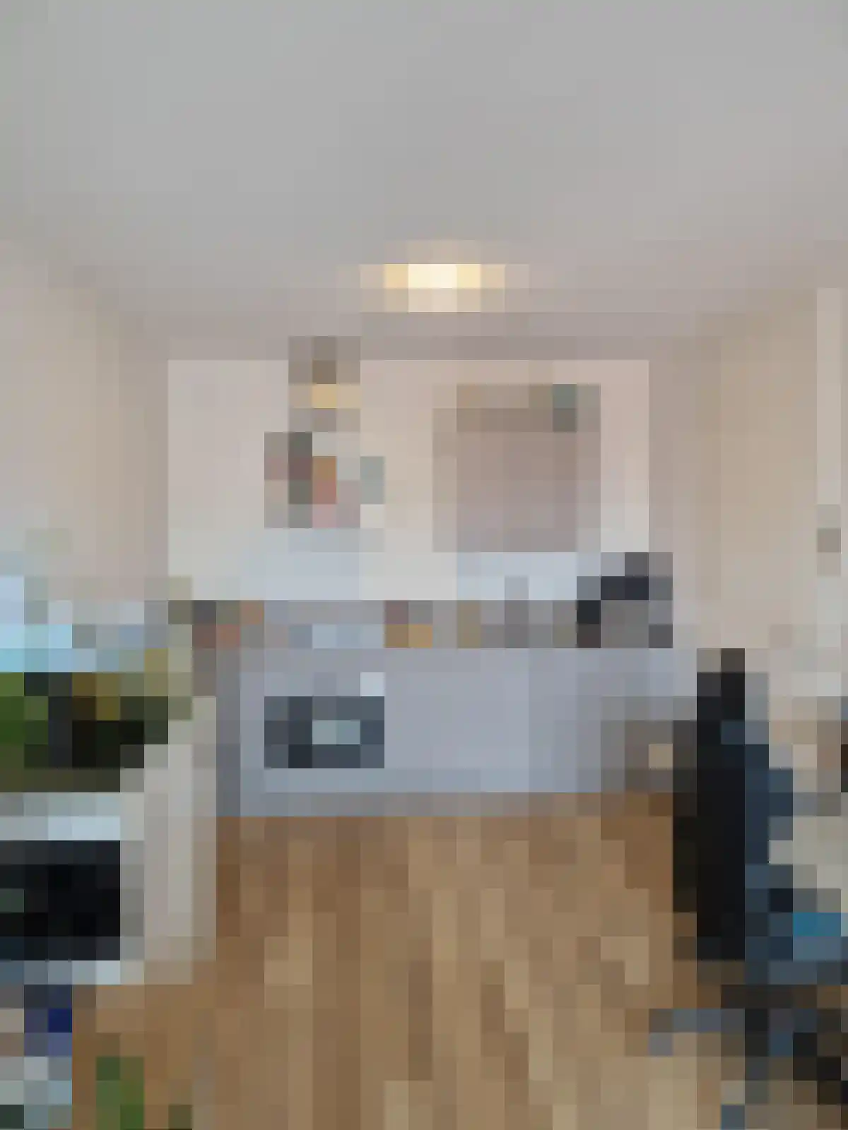 Ericastraat 79 Eindhoven thumbnail 6