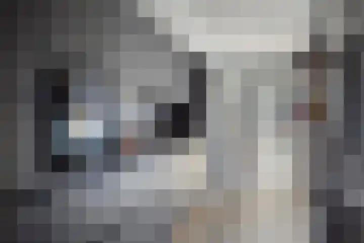 Ericastraat 8 Wezep thumbnail 11