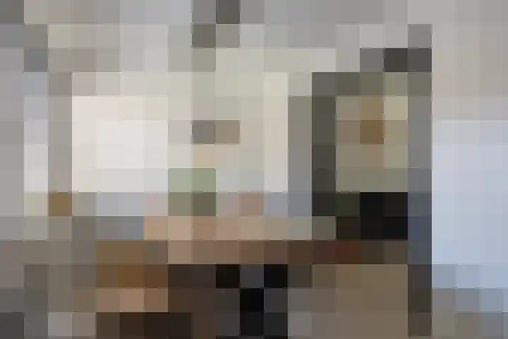 Ericastraat 8 Wezep thumbnail 14
