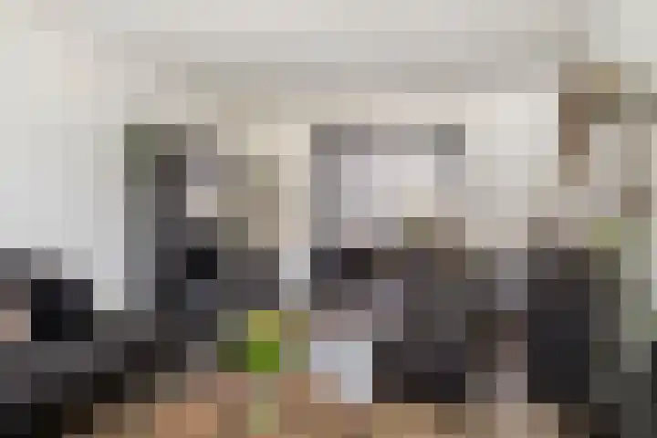Ericastraat 8 Wezep thumbnail 16