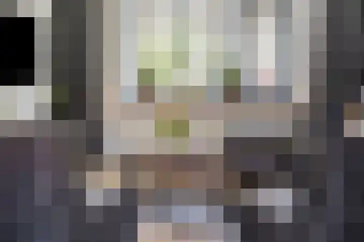 Ericastraat 8 Wezep thumbnail 17