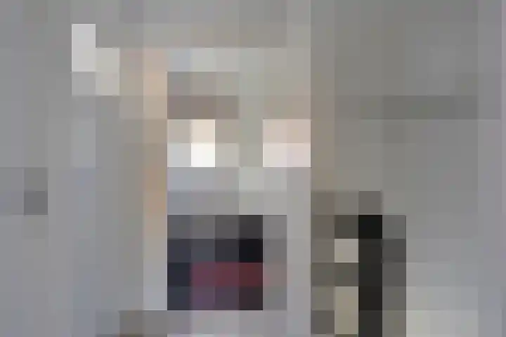 Ericastraat 8 Wezep thumbnail 21