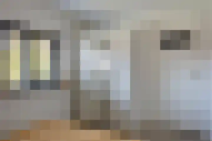 Ericastraat 8 Wezep thumbnail 28