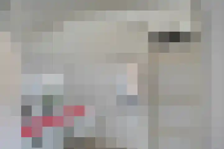 Ericastraat 8 Wezep thumbnail 29