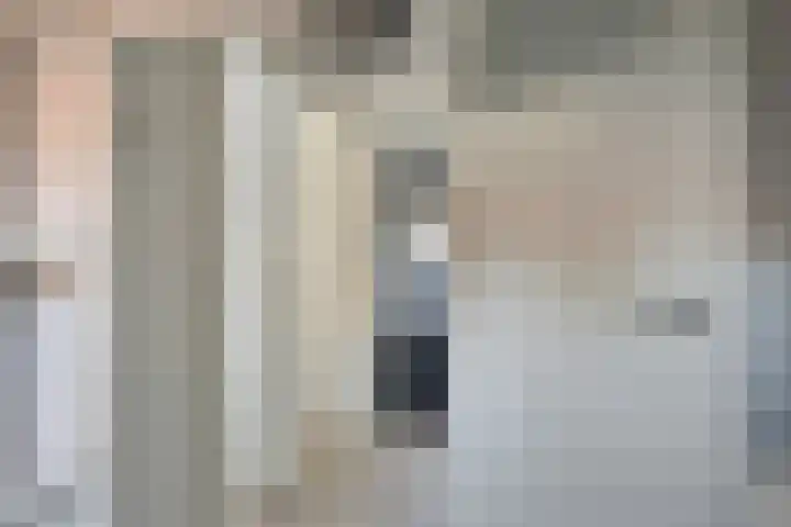 Ericastraat 8 Wezep thumbnail 30
