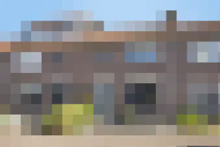 Ericastraat 8 Wezep thumbnail 35