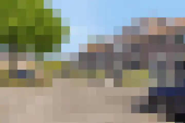 Ericastraat 8 Wezep thumbnail 37