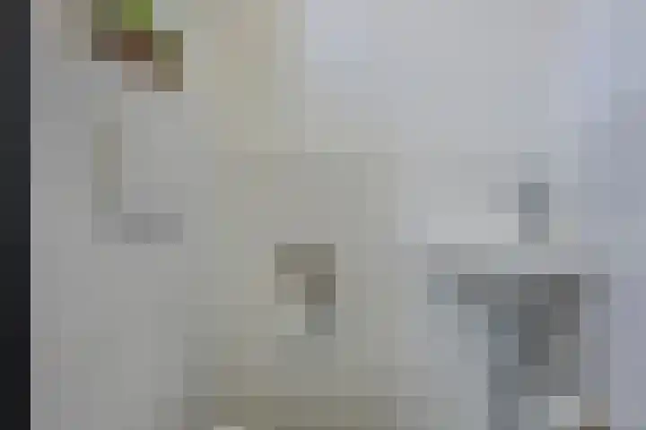Ericastraat 8 Wezep thumbnail 8