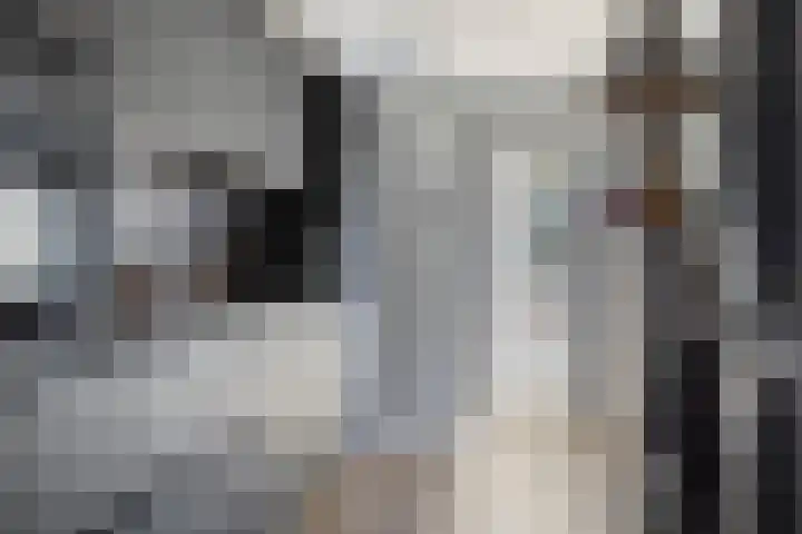 Ericastraat 8 Wezep thumbnail 9