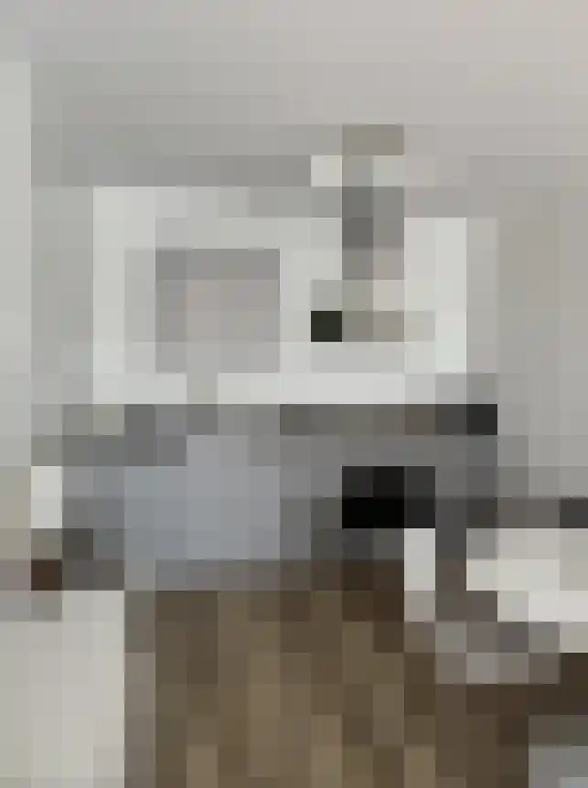 Ericastraat 81 Eindhoven thumbnail 6
