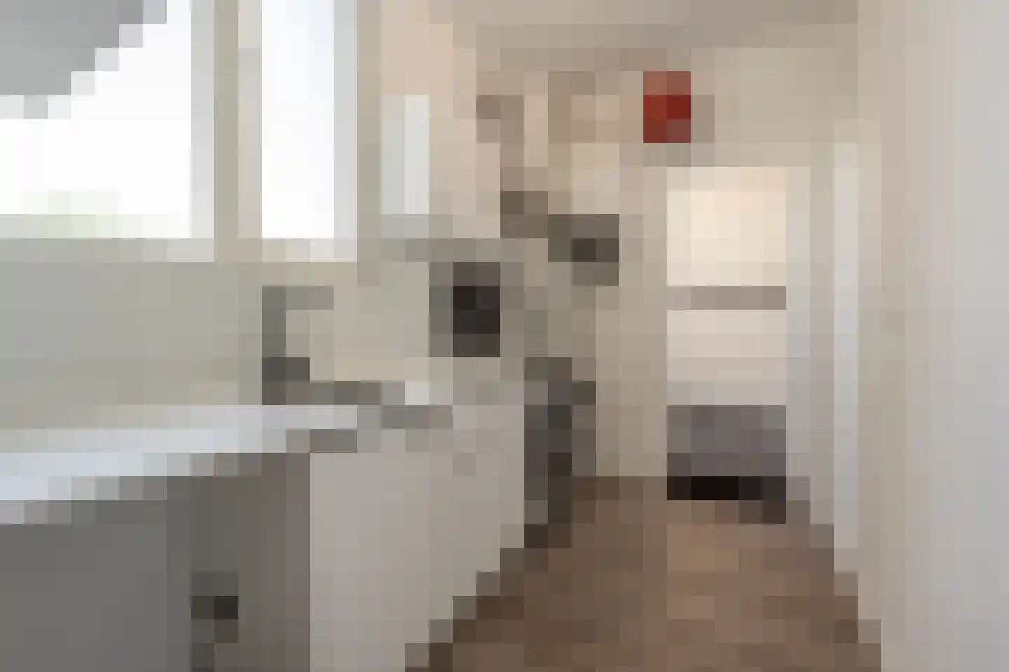 Ericastraat 9 01 Rotterdam thumbnail 8