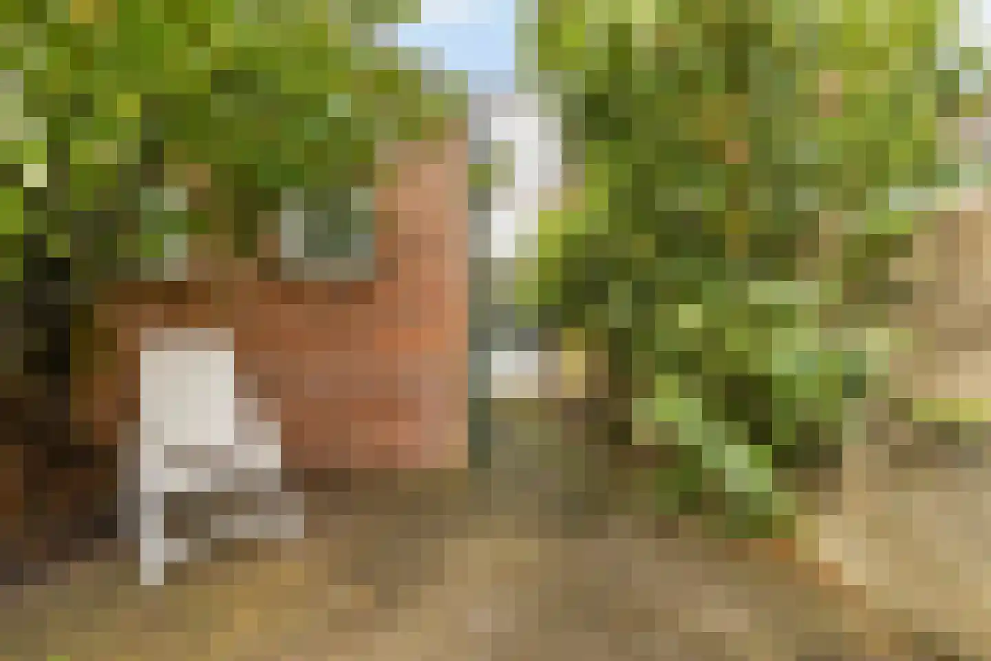 Ericastraat 9 Hilversum thumbnail 14