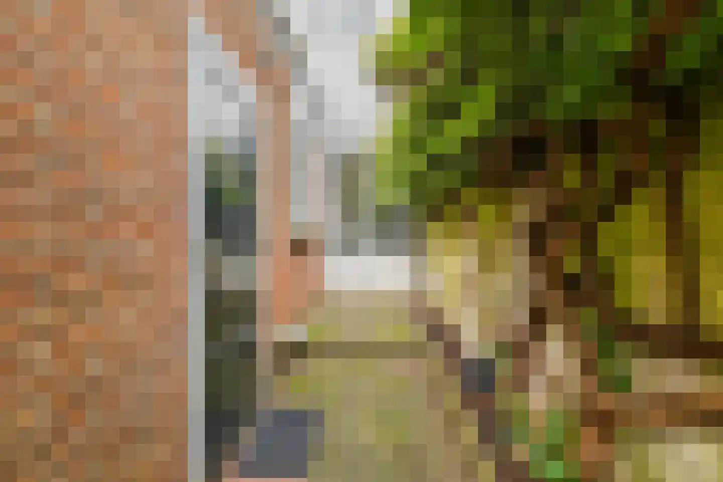 Ericastraat 9 Hilversum thumbnail 15