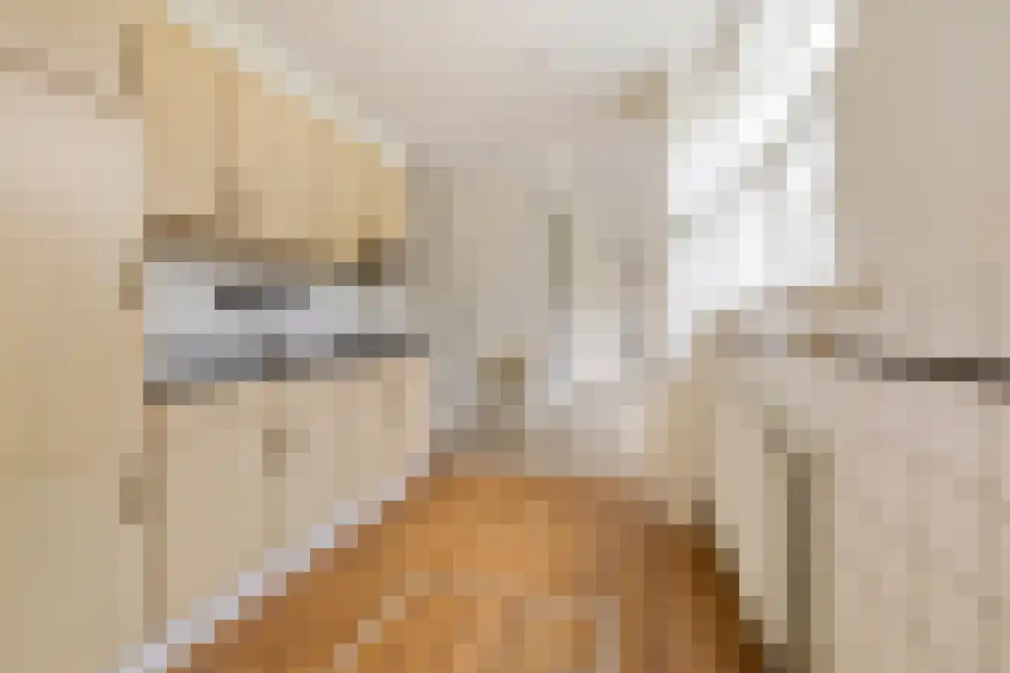 Ericastraat 9 Hilversum thumbnail 7