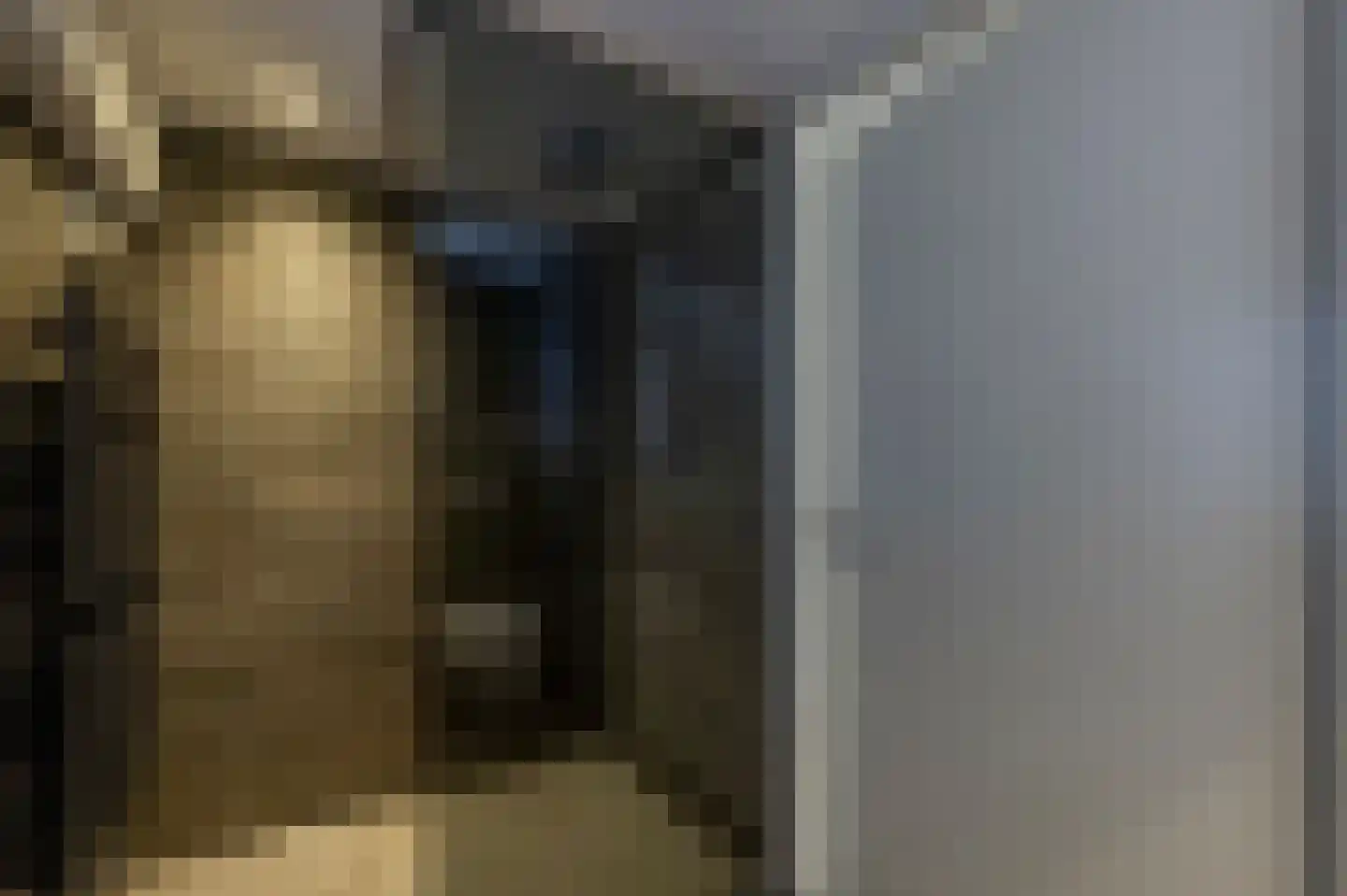 Ericastraat 9 Rotterdam thumbnail 18