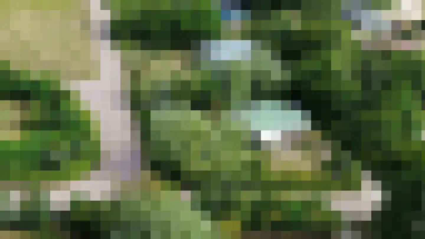 Ericaveld 326 Ballum thumbnail 13