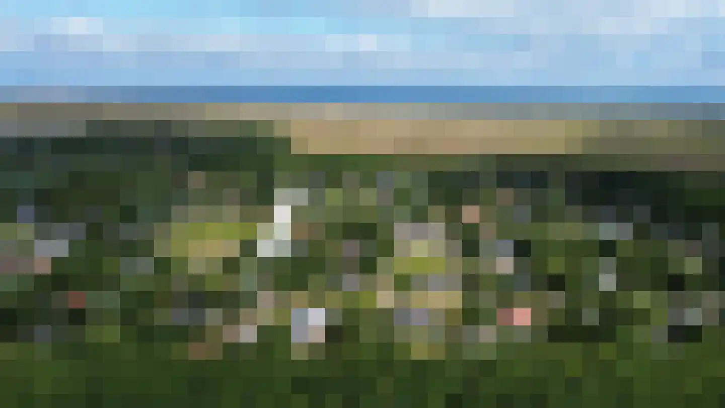 Ericaveld 326 Ballum thumbnail 4