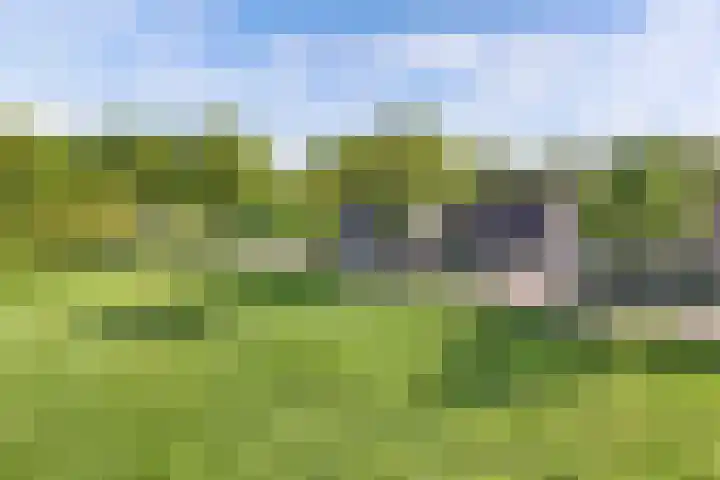 Ericaweg 14 in Steggerda