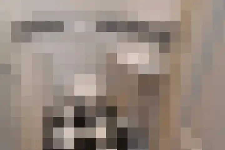 Ericaweg 14 Steggerda thumbnail 10