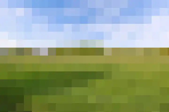 Ericaweg 14 Steggerda thumbnail 49