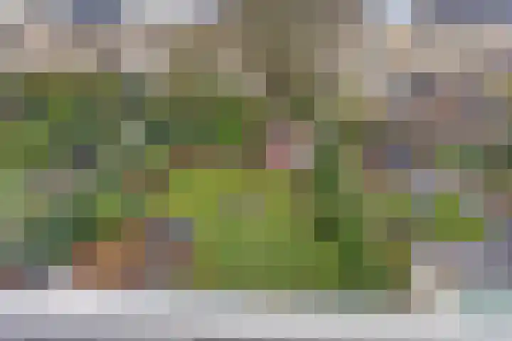 Ericaweg 14 Steggerda thumbnail 5