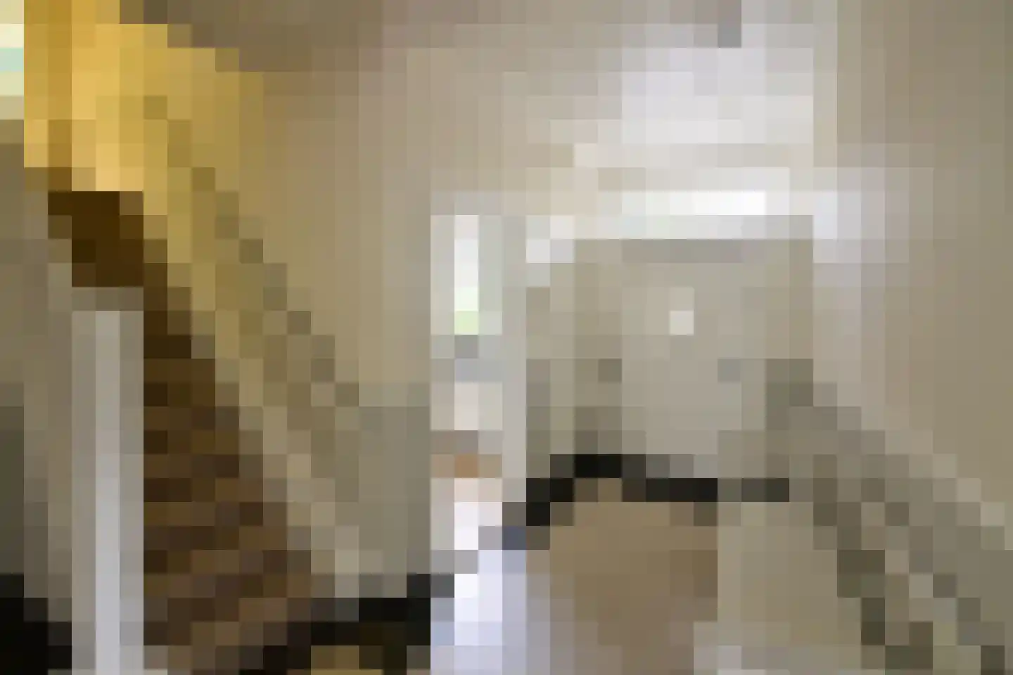 Ericaweg 2 Huizen thumbnail 12
