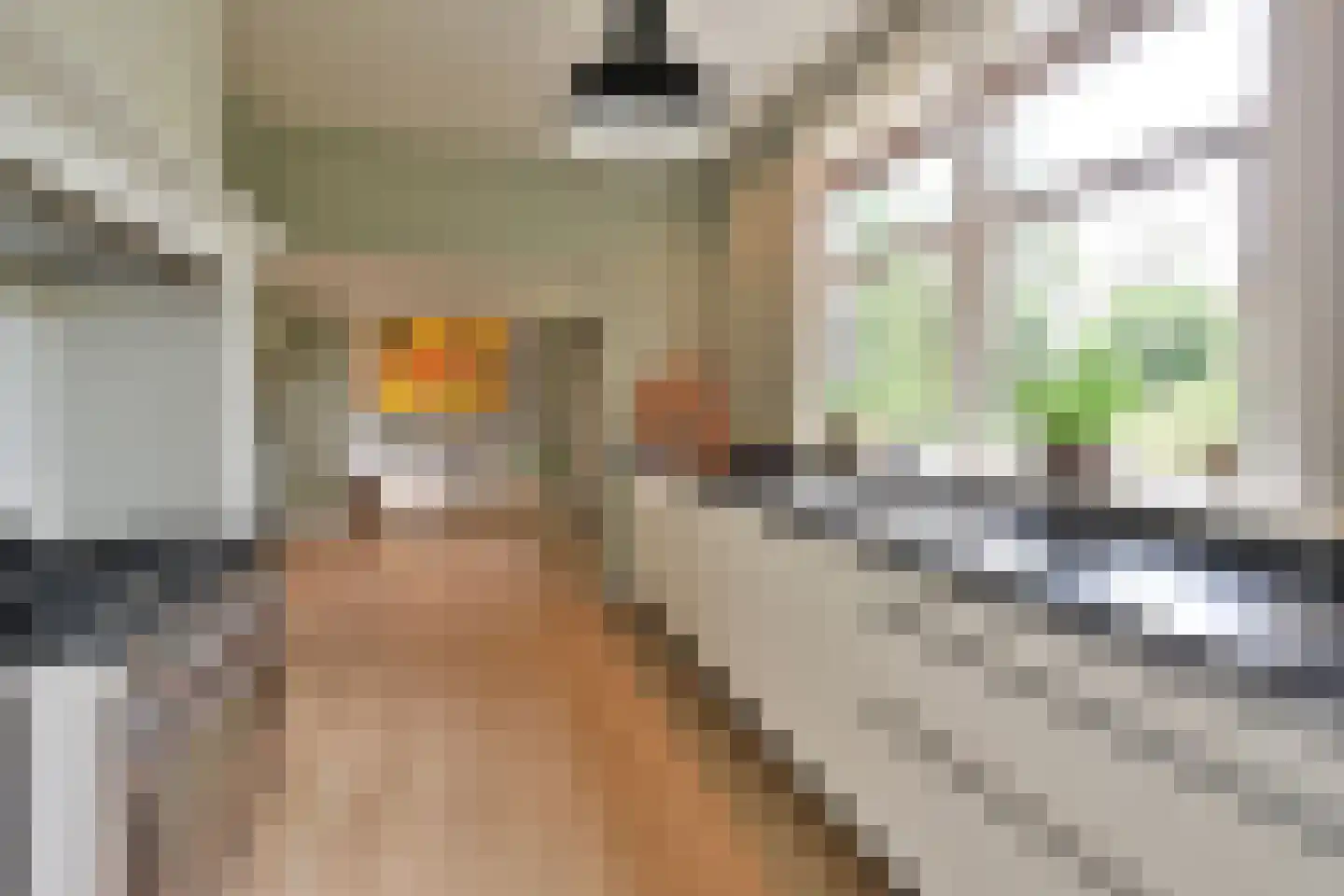 Ericaweg 2 Huizen thumbnail 14