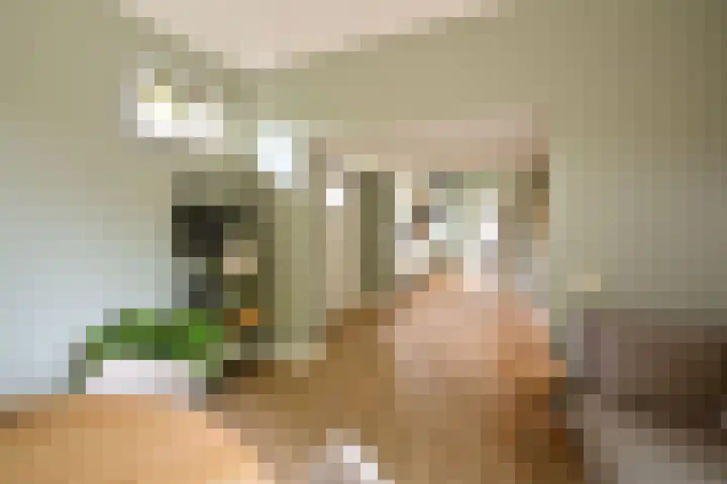 Ericaweg 2 Huizen thumbnail 17
