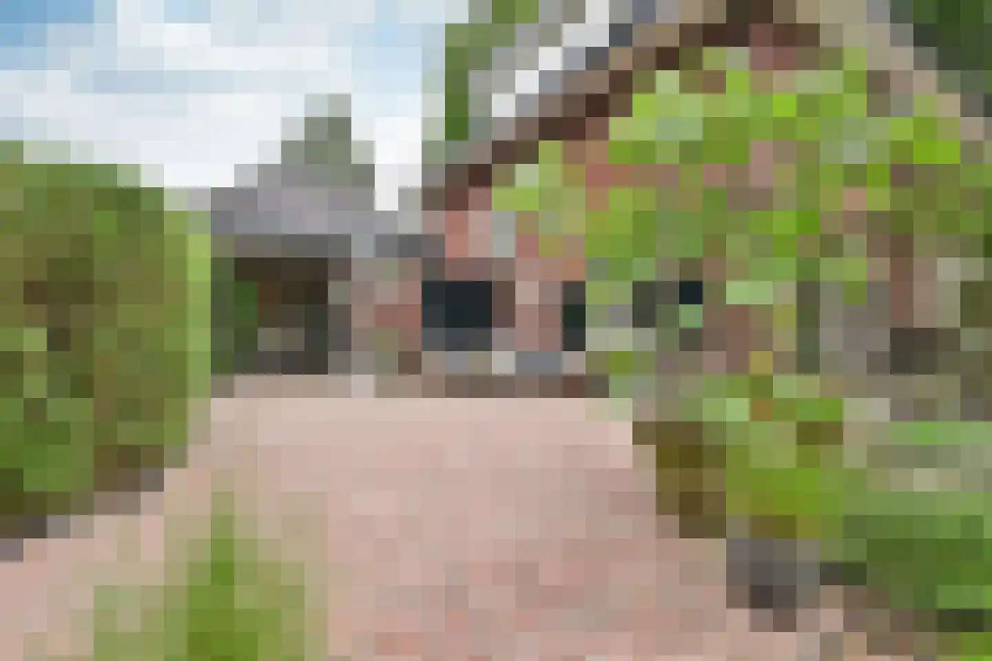 Ericaweg 2 Huizen thumbnail 21