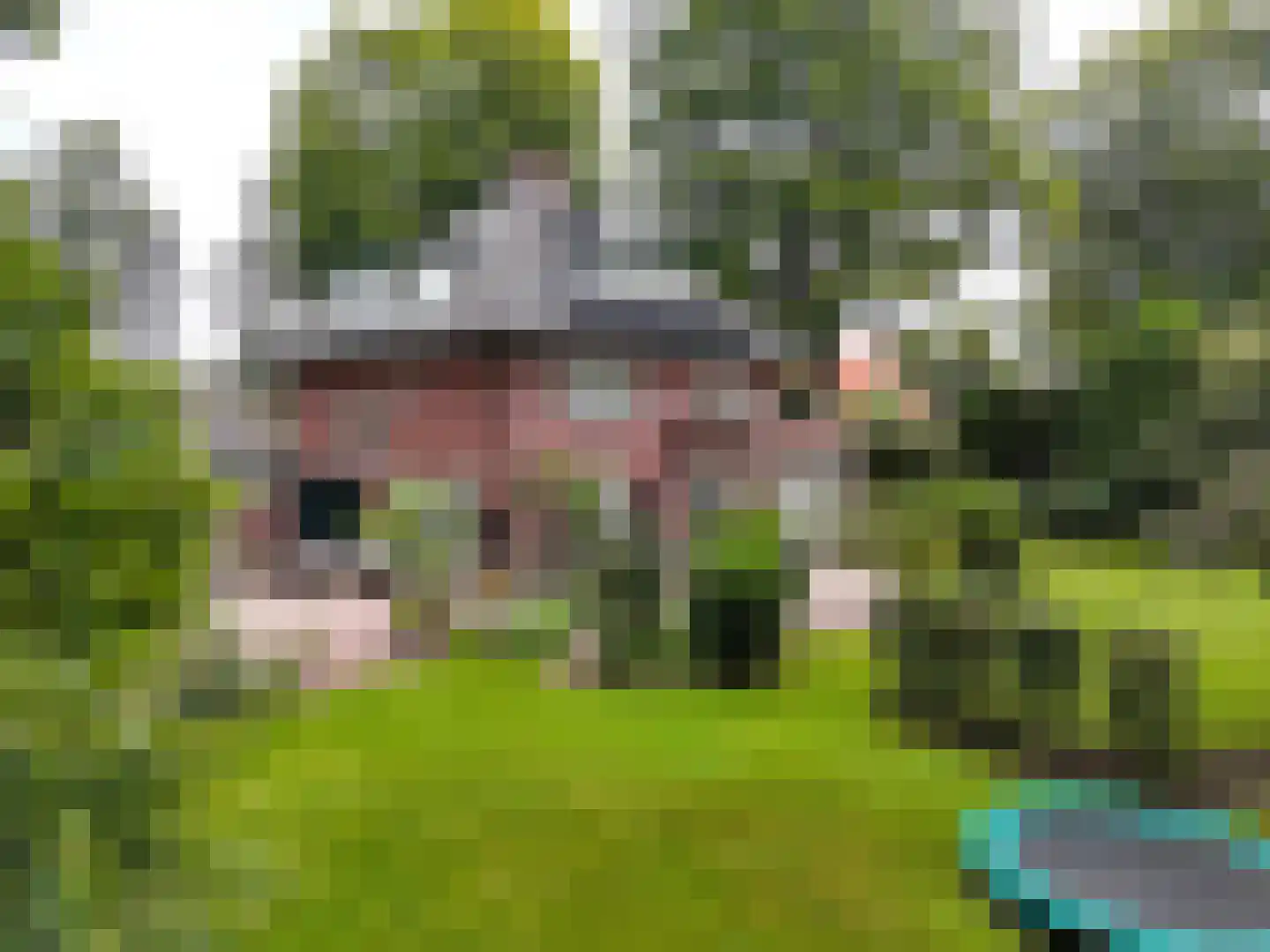 Ericaweg 2 Huizen thumbnail 22