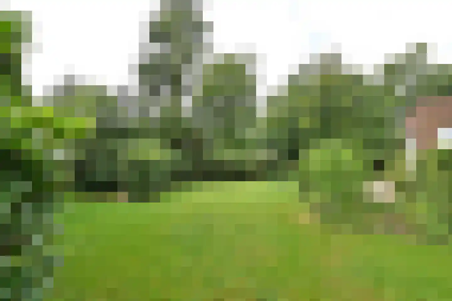 Ericaweg 2 Huizen thumbnail 23