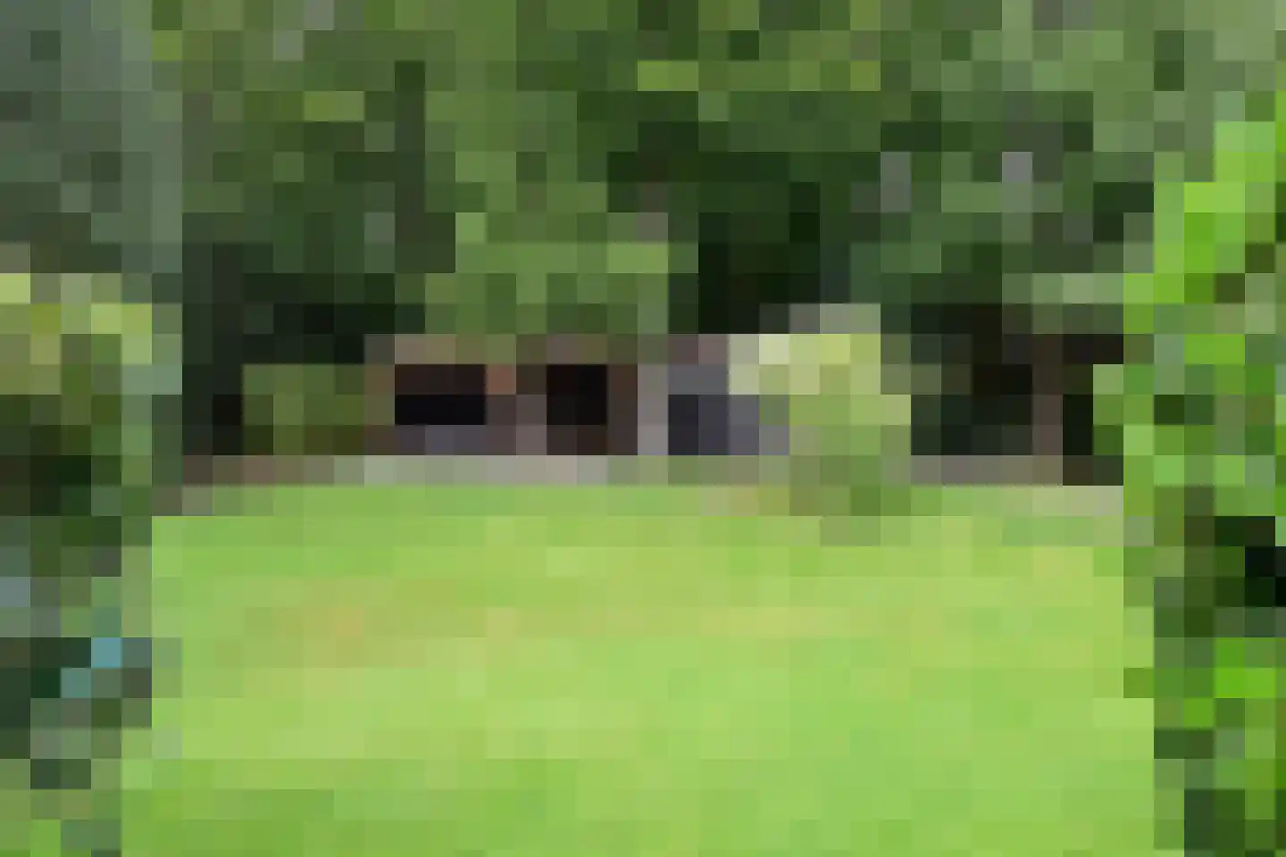 Ericaweg 2 Huizen thumbnail 24