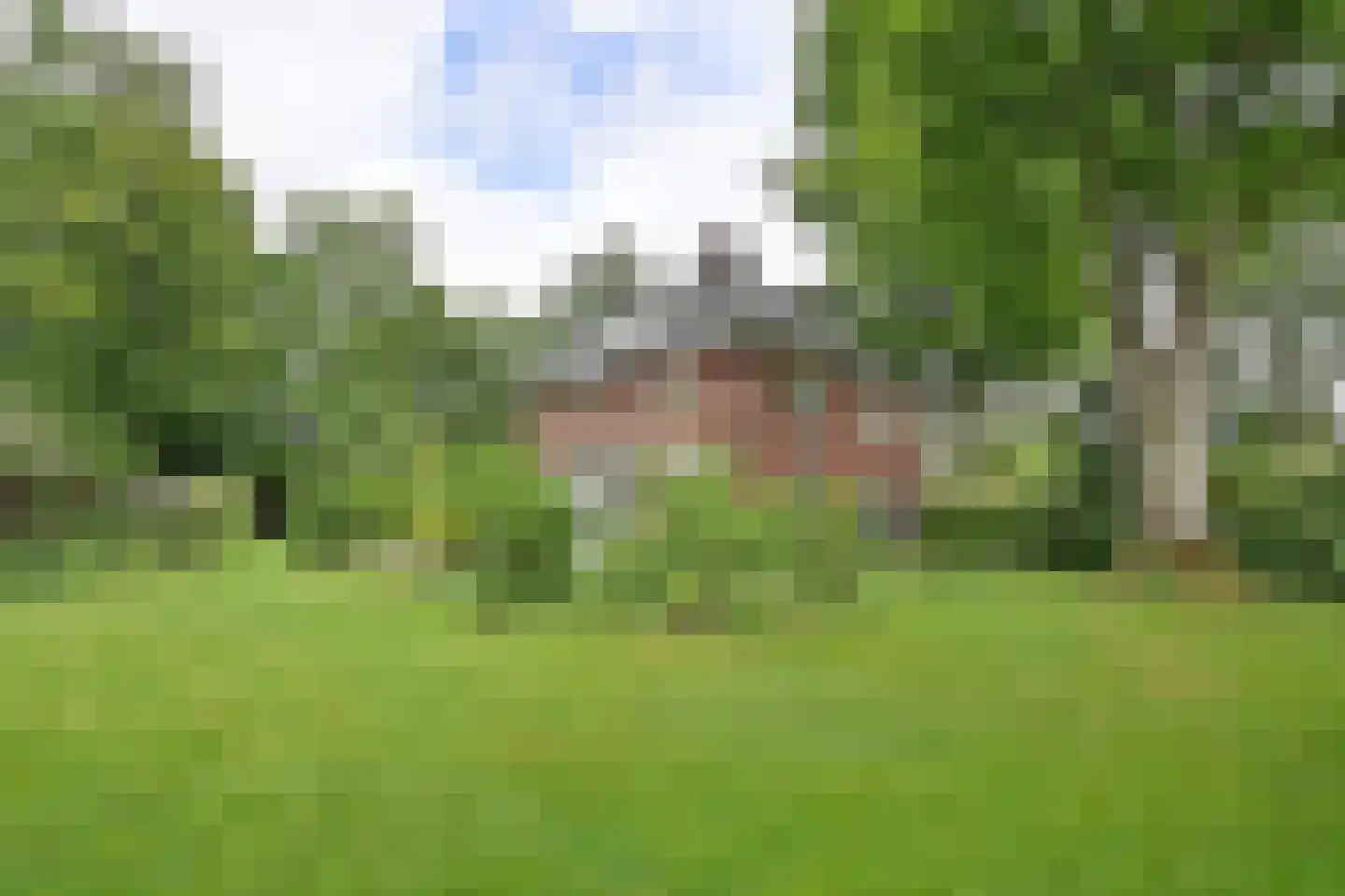Ericaweg 2 Huizen thumbnail 29