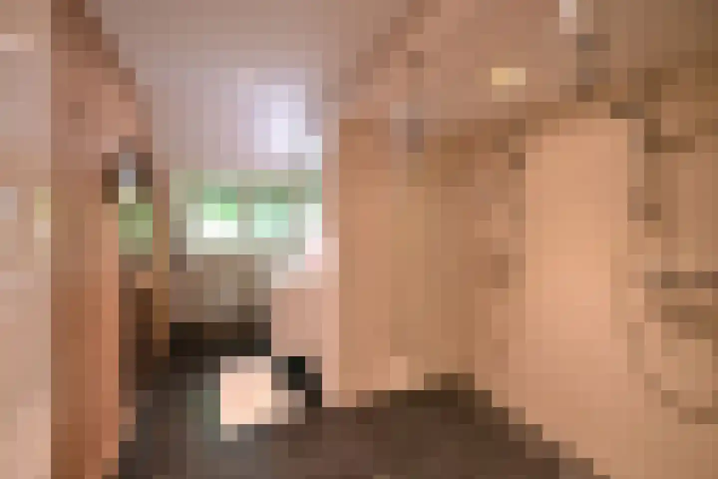 Ericaweg 2 Huizen thumbnail 43