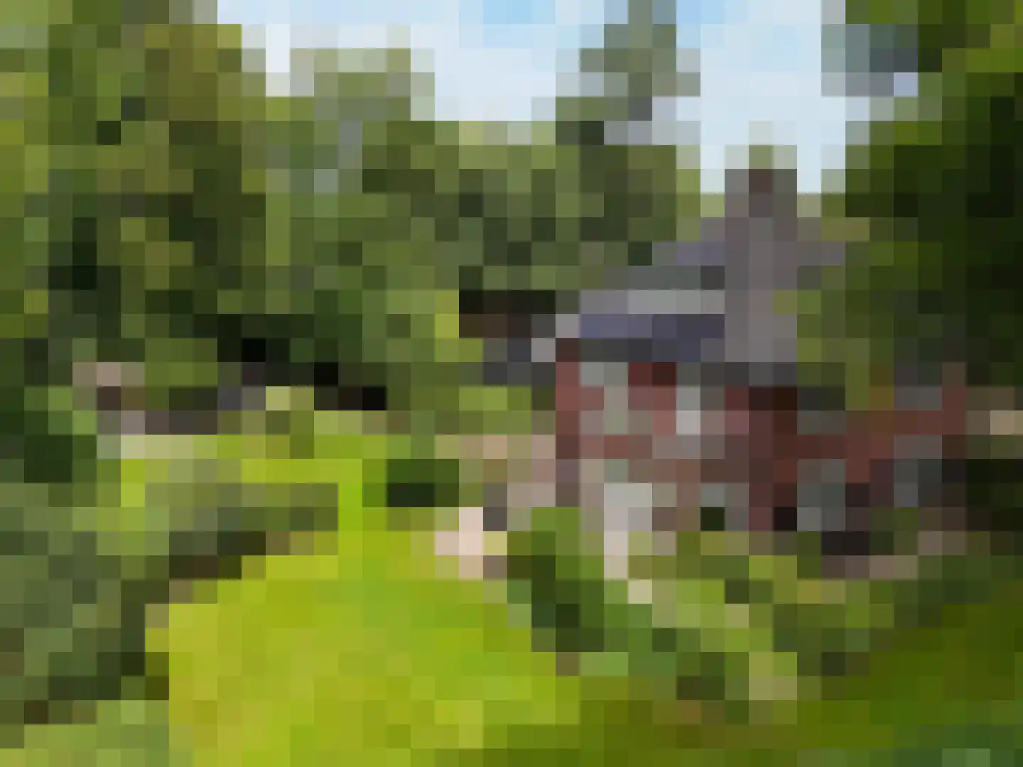 Ericaweg 2 Huizen thumbnail 45